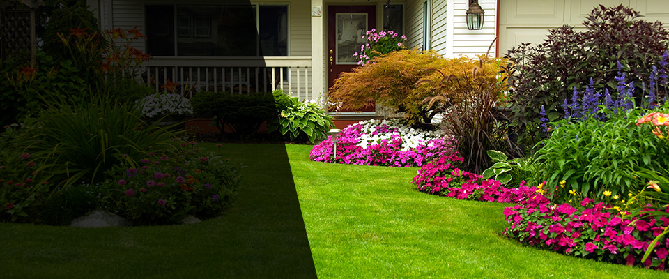 Minster Landscapers
