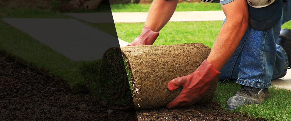 Minster Landscapers